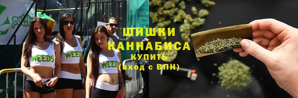 крисы Карпинск