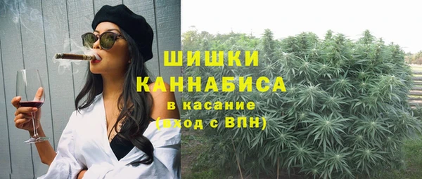 крисы Карпинск