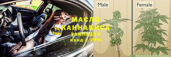 стаф Карталы
