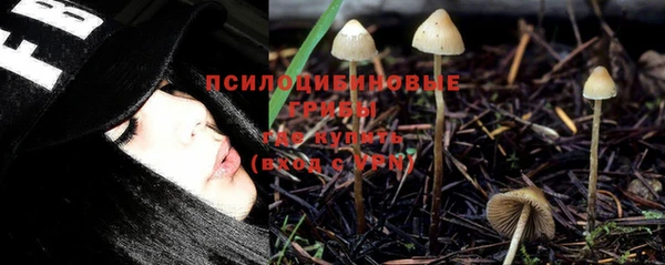 стаф Карталы